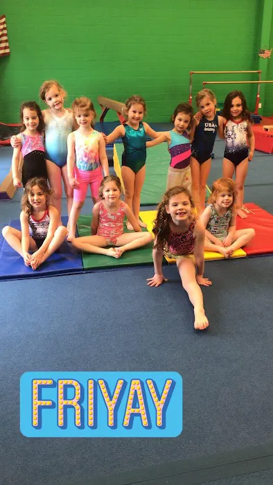 USA Twisterz Picture 2