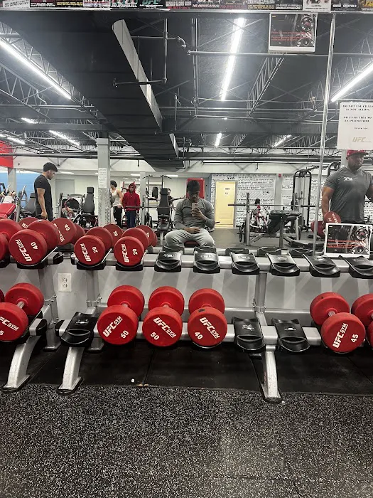 UFC Gym Picture 2