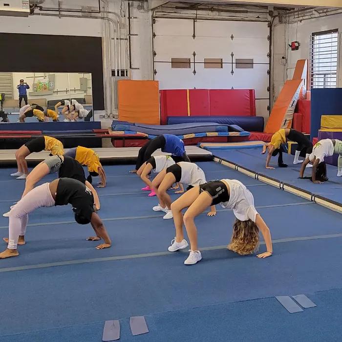 Shine Tumblers Picture 3