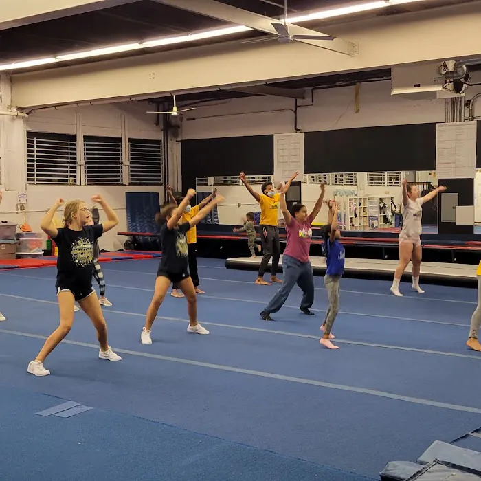 Shine Tumblers Picture 5