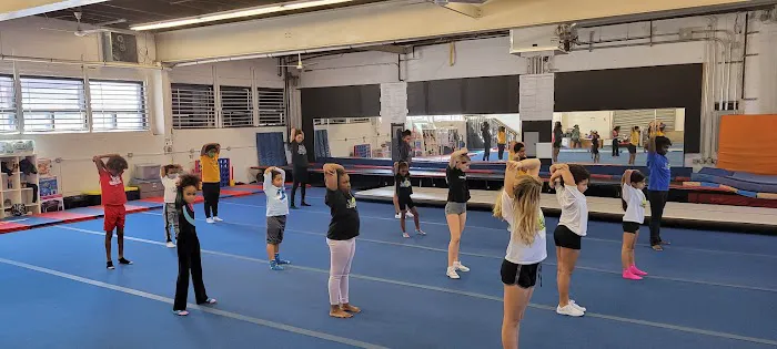Shine Tumblers Picture 2