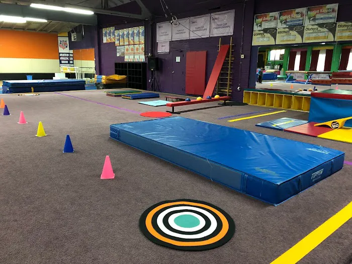 Athletic Arts Academy Picture 1