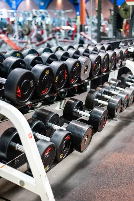 Colosseum Gym Picture 10
