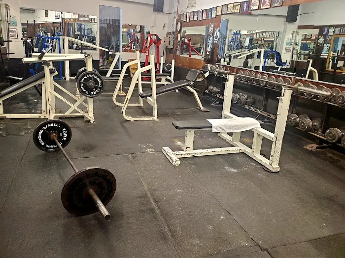 Diamond Gym Sports & Fitness LLC Picture 5