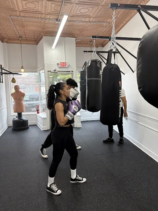 Cambio Boxing Picture 3