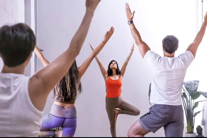 The Vastu Yoga Picture 7