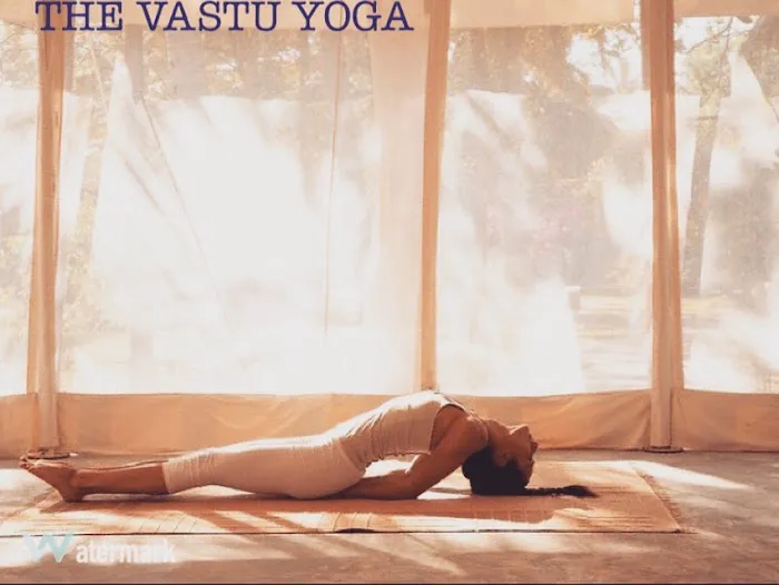 The Vastu Yoga Picture 8