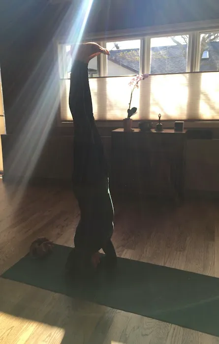 The Vastu Yoga Picture 5