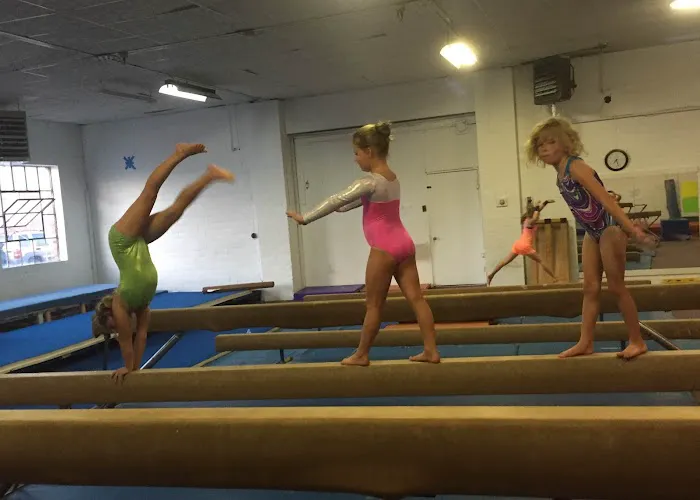 Willow Tree Gymnastics - Latrobe Picture 5