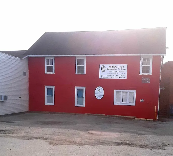 Willow Tree Gymnastics - Latrobe Picture 3