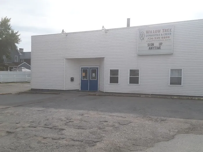 Willow Tree Gymnastics - Latrobe Picture 2