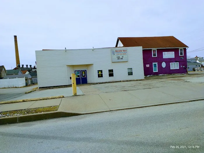 Willow Tree Gymnastics - Latrobe Picture 6