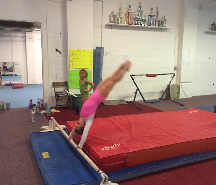 Willow Tree Gymnastics - Latrobe Picture 7