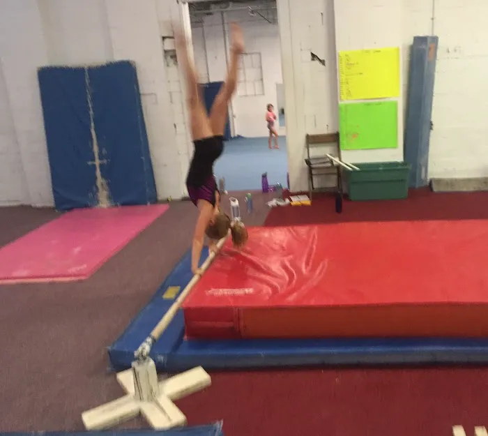 Willow Tree Gymnastics - Latrobe Picture 10