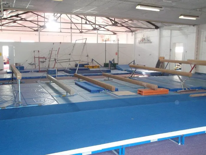 Willow Tree Gymnastics - Latrobe Picture 9