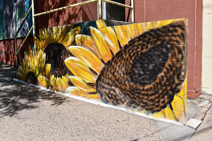Sunflower Yoga & Fitness Center Picture 10