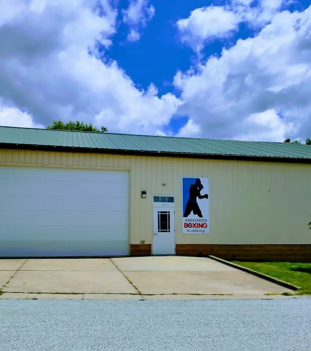 Amviares Boxing Academy Picture 3