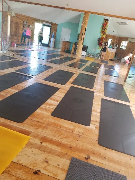 Roots : A Yoga and Movement Studio Picture 6