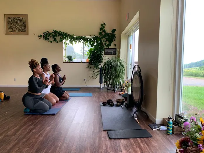 Mountain Breeze Yoga & Sound Therapy Picture 4