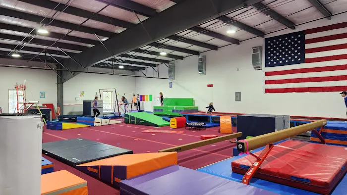 Twist'N Flip Gymnastics Picture 2