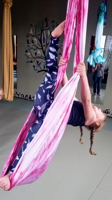 Fit to Be Tied Yoga Picture 8
