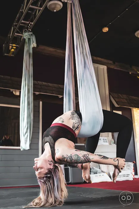 Fly Creek Aerial Yoga Picture 4