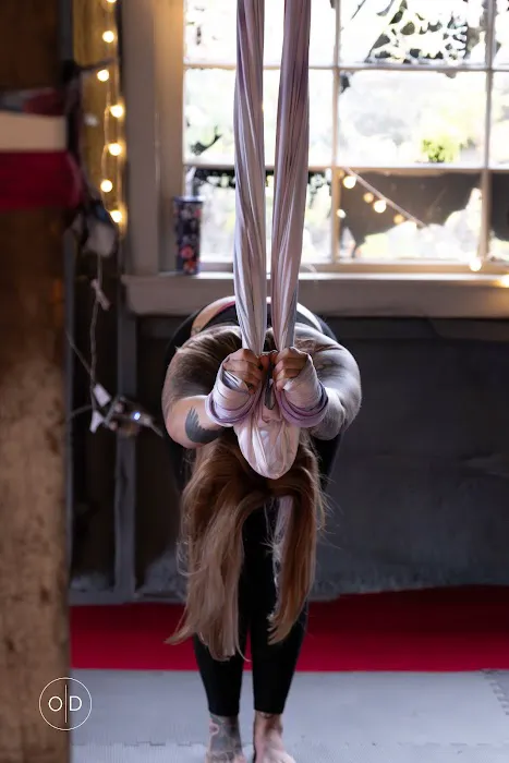 Fly Creek Aerial Yoga Picture 5