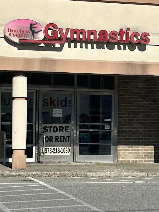Dutchess County Gymnastics Center Picture 6