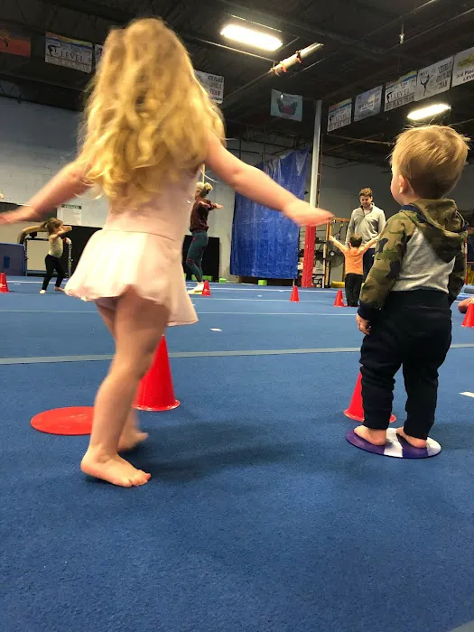 Dutchess County Gymnastics Center Picture 8