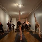 Rooted Yoga Poughkeepsie