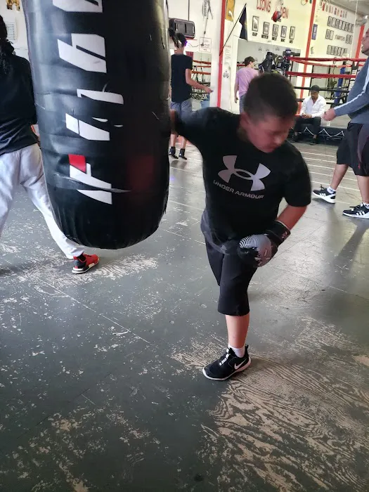 APJ Boxing Club Inc. Picture 4
