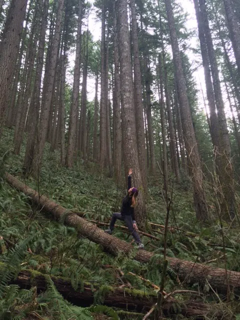 Skye River Yoga Picture 4