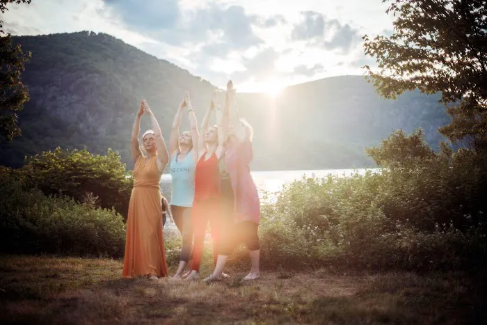 The Collective, Cold Spring Picture 2