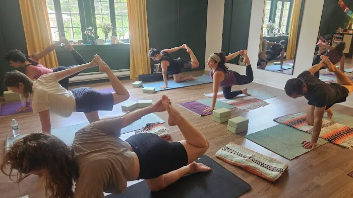 Wild Yoga LLC Picture 5