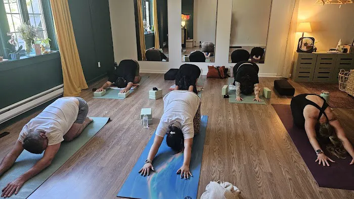 Wild Yoga LLC Picture 10