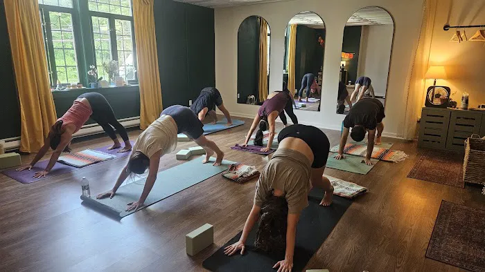 Wild Yoga LLC Picture 6