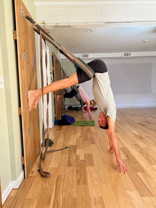 Yoga Synthesis Picture 1