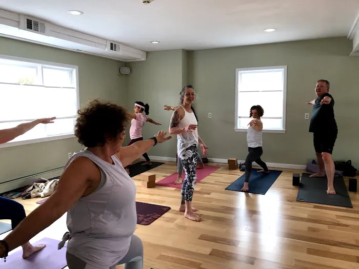 Yoga Synthesis Picture 6
