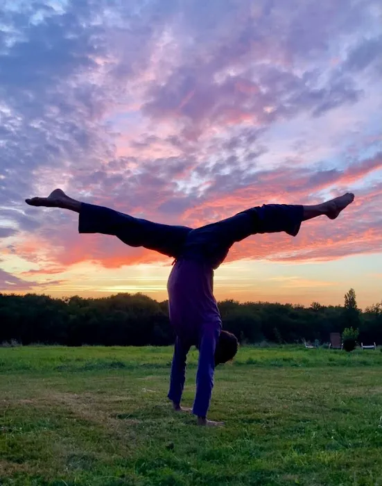 Yoga Synthesis Picture 9