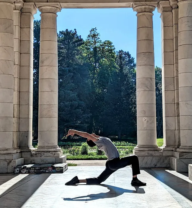 Yoga Synthesis Picture 8