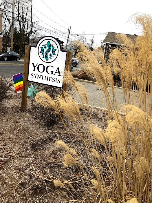 Yoga Synthesis Picture 4