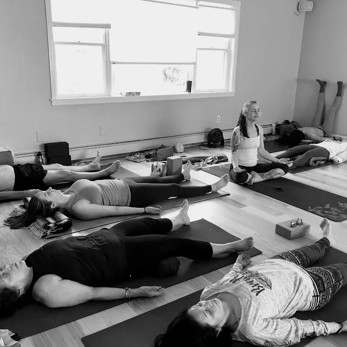 Yoga Synthesis Picture 10