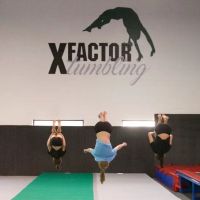 X Factor Tumbling, Wyckoff NJ ico