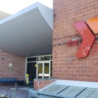 The Y Gym ico
