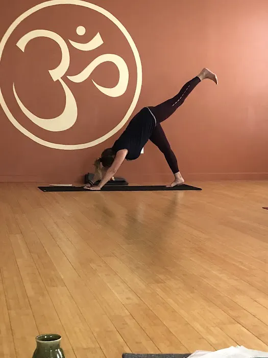 Ananta Yoga Studio Picture 4