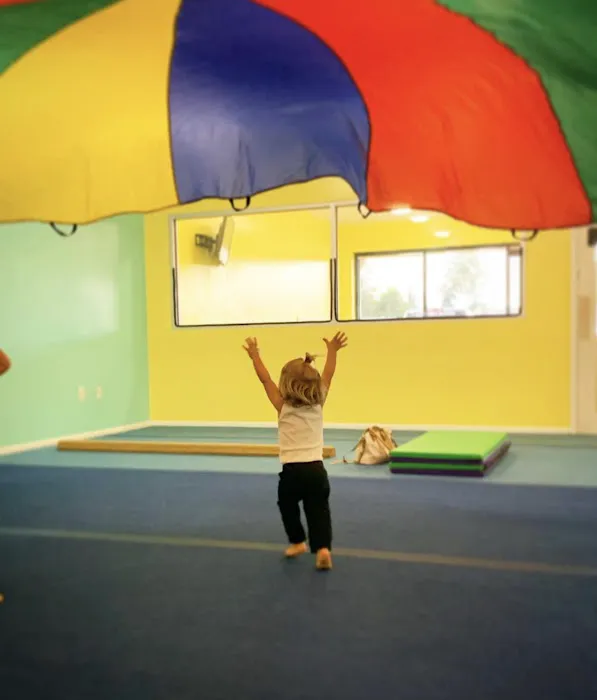 Tumble Zone Llc Picture 5
