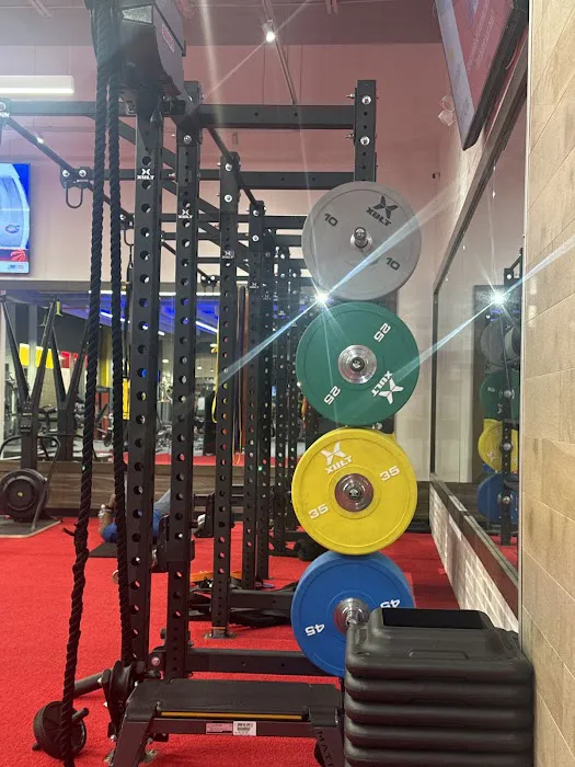Retro Fitness Wayne Picture 10