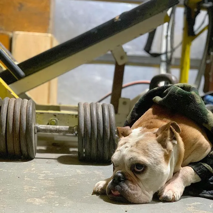 Skiba's Gym Picture 9