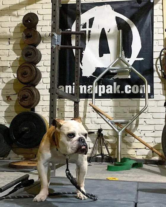 Skiba's Gym Picture 6
