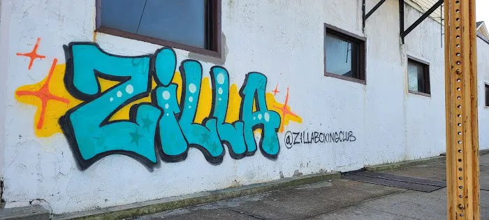 Zilla Boxing Club Picture 8